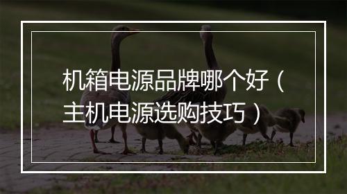 机箱电源品牌哪个好（主机电源选购技巧）
