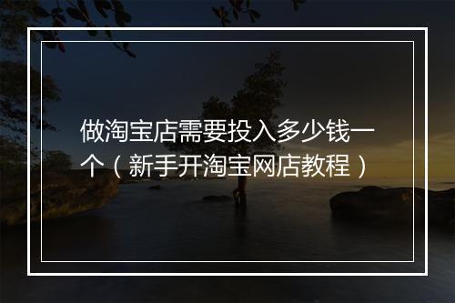 做淘宝店需要投入多少钱一个（新手开淘宝网店教程）
