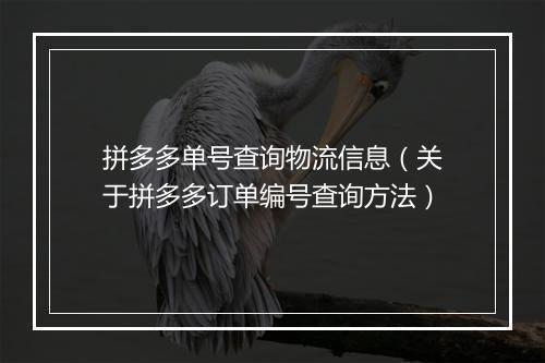 拼多多单号查询物流信息（关于拼多多订单编号查询方法）