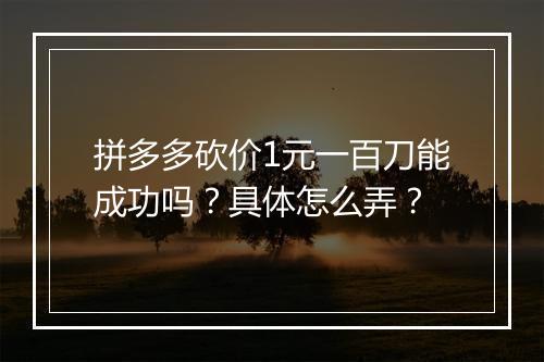 拼多多砍价1元一百刀能成功吗？具体怎么弄？