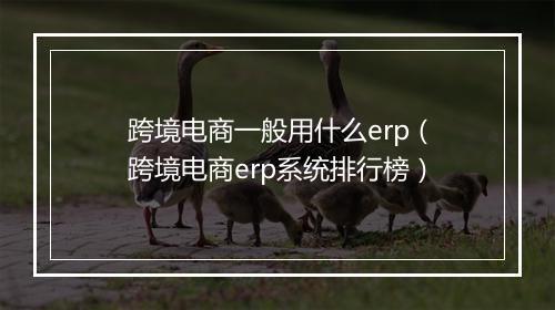 跨境电商一般用什么erp（跨境电商erp系统排行榜）