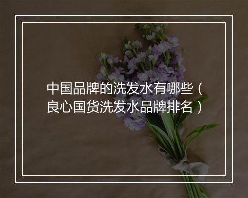 中国品牌的洗发水有哪些（良心国货洗发水品牌排名）