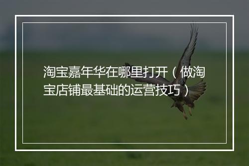 淘宝嘉年华在哪里打开（做淘宝店铺最基础的运营技巧）