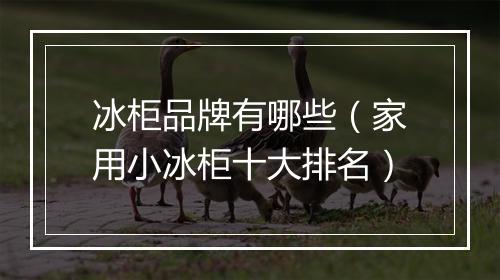 冰柜品牌有哪些（家用小冰柜十大排名）