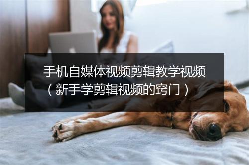 手机自媒体视频剪辑教学视频（新手学剪辑视频的窍门）