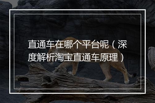 直通车在哪个平台呢（深度解析淘宝直通车原理）