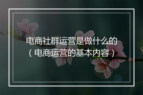 电商社群运营是做什么的（电商运营的基本内容）