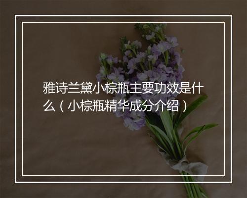 雅诗兰黛小棕瓶主要功效是什么（小棕瓶精华成分介绍）