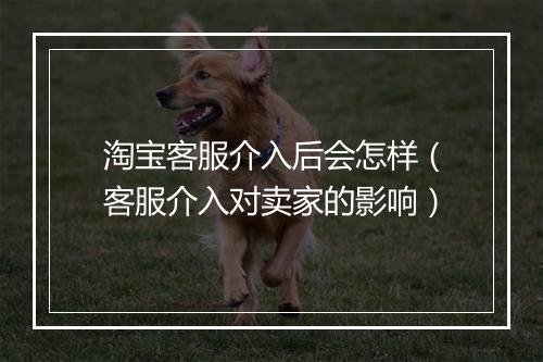 淘宝客服介入后会怎样（客服介入对卖家的影响）