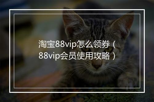 淘宝88vip怎么领券（88vip会员使用攻略）