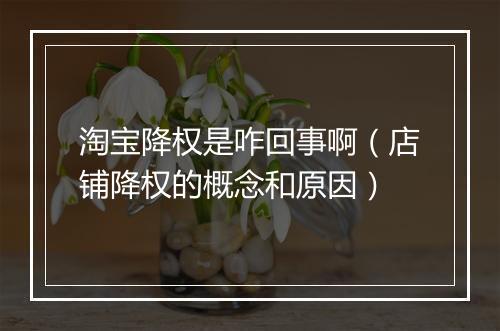 淘宝降权是咋回事啊（店铺降权的概念和原因）