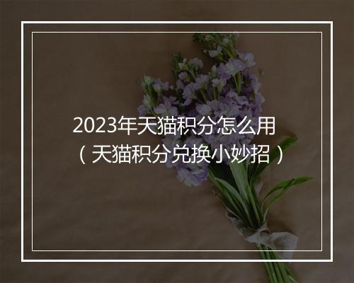 2023年天猫积分怎么用（天猫积分兑换小妙招）