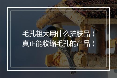 毛孔粗大用什么护肤品（真正能收缩毛孔的产品）