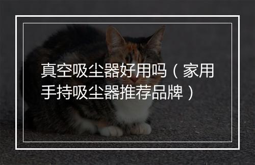 真空吸尘器好用吗（家用手持吸尘器推荐品牌）