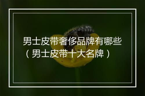 男士皮带奢侈品牌有哪些（男士皮带十大名牌）