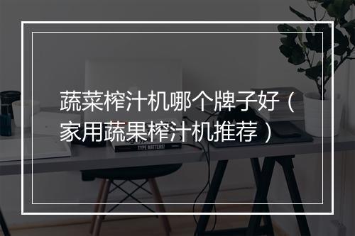蔬菜榨汁机哪个牌子好（家用蔬果榨汁机推荐）
