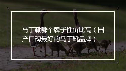 马丁靴哪个牌子性价比高（国产口碑最好的马丁靴品牌）