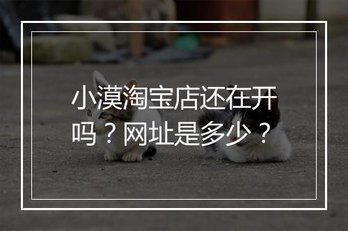 小漠淘宝店还在开吗？网址是多少？