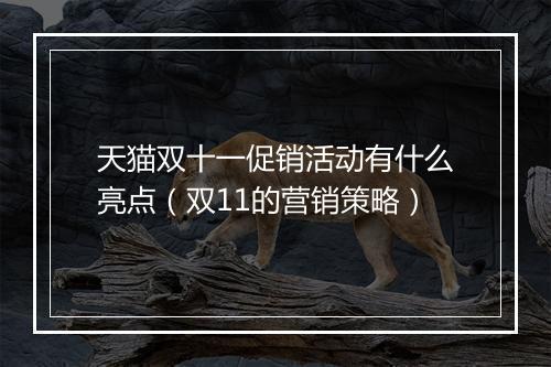 天猫双十一促销活动有什么亮点（双11的营销策略）
