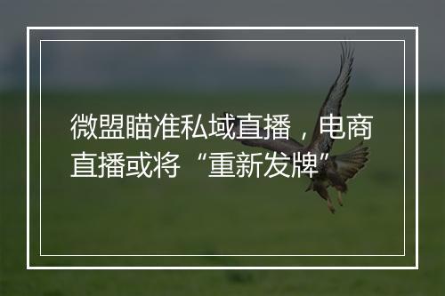 微盟瞄准私域直播，电商直播或将“重新发牌”