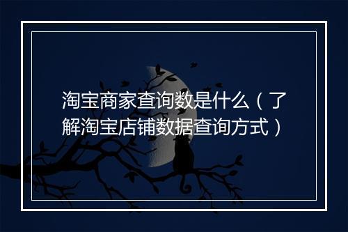 淘宝商家查询数是什么（了解淘宝店铺数据查询方式）