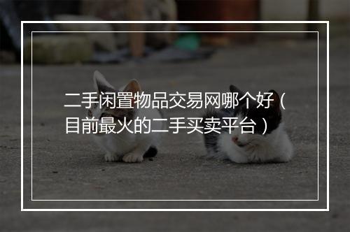 二手闲置物品交易网哪个好（目前最火的二手买卖平台）