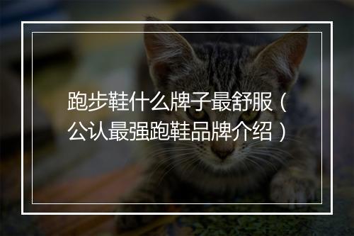 跑步鞋什么牌子最舒服（公认最强跑鞋品牌介绍）