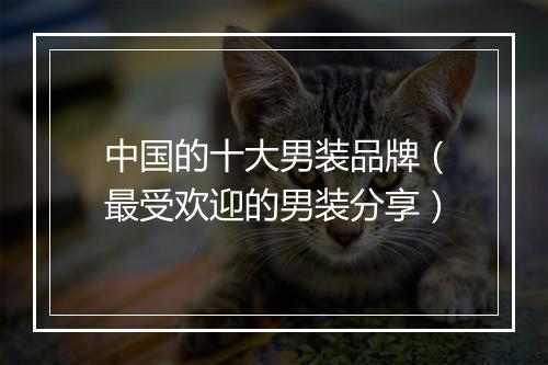 中国的十大男装品牌（最受欢迎的男装分享）