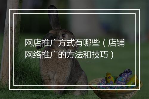 网店推广方式有哪些（店铺网络推广的方法和技巧）