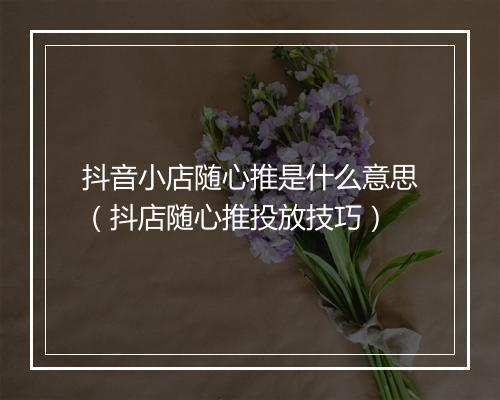 抖音小店随心推是什么意思（抖店随心推投放技巧）