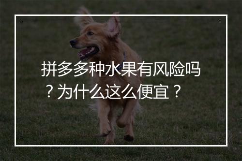 拼多多种水果有风险吗？为什么这么便宜？