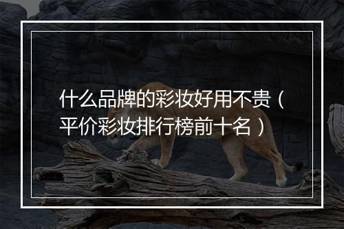 什么品牌的彩妆好用不贵（平价彩妆排行榜前十名）