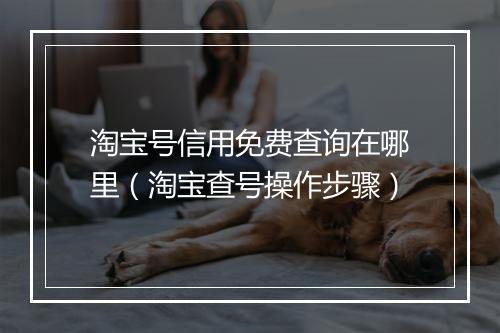 淘宝号信用免费查询在哪里（淘宝查号操作步骤）