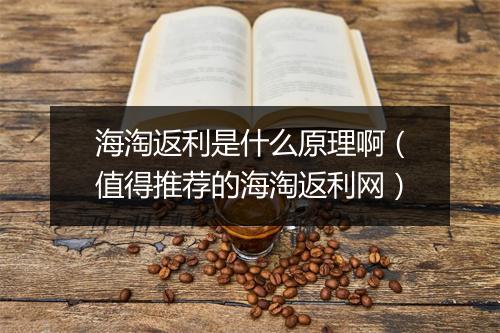 海淘返利是什么原理啊（值得推荐的海淘返利网）