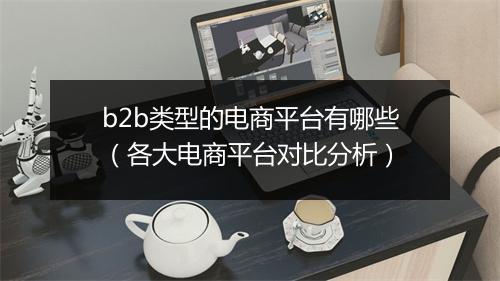 b2b类型的电商平台有哪些（各大电商平台对比分析）