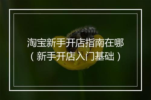 淘宝新手开店指南在哪（新手开店入门基础）