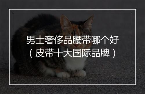 男士奢侈品腰带哪个好（皮带十大国际品牌）