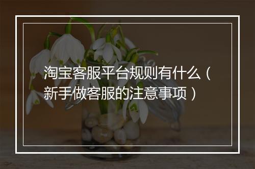 淘宝客服平台规则有什么（新手做客服的注意事项）