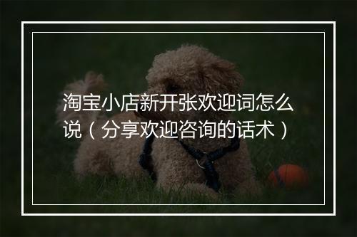 淘宝小店新开张欢迎词怎么说（分享欢迎咨询的话术）