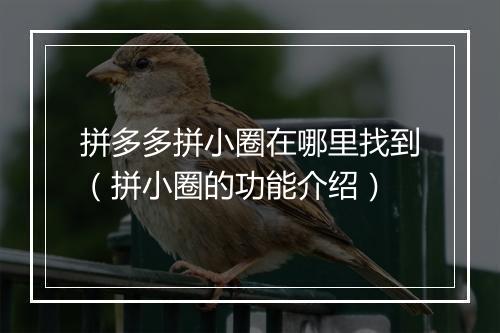 拼多多拼小圈在哪里找到（拼小圈的功能介绍）