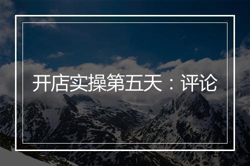 开店实操第五天：评论