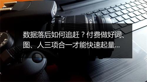 数据落后如何追赶？付费做好词、图、人三项合一才能快速起量！