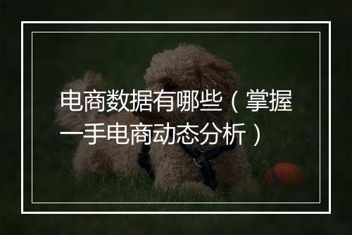 电商数据有哪些（掌握一手电商动态分析）