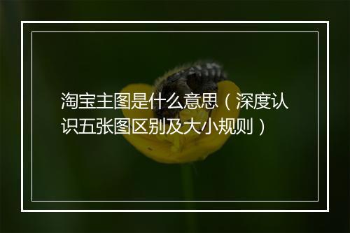 淘宝主图是什么意思（深度认识五张图区别及大小规则）