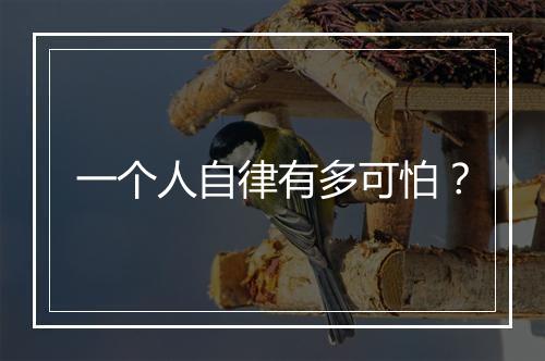 一个人自律有多可怕？