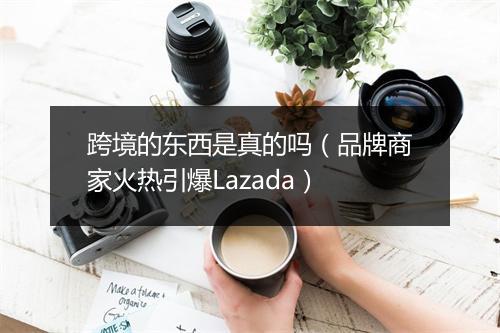 跨境的东西是真的吗（品牌商家火热引爆Lazada）