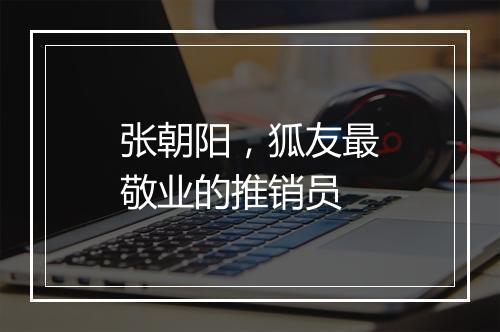 张朝阳，狐友最敬业的推销员