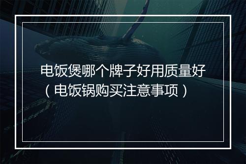 电饭煲哪个牌子好用质量好（电饭锅购买注意事项）