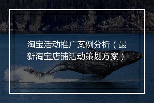 淘宝活动推广案例分析（最新淘宝店铺活动策划方案）