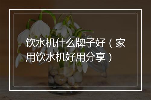 饮水机什么牌子好（家用饮水机好用分享）